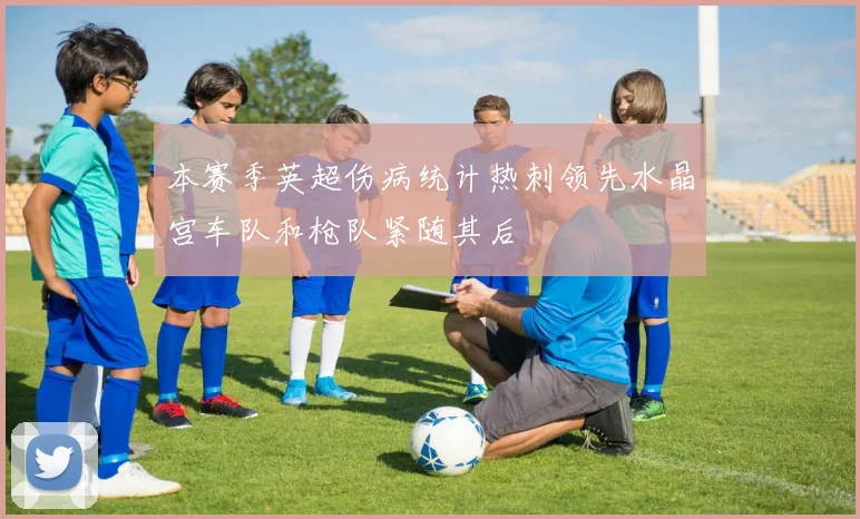 本赛季英超伤病统计热刺领先水晶宫车队和枪队紧随其后
