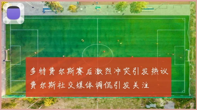 多特费尔斯赛后激烈冲突引发热议费尔斯社交媒体调侃引发关注