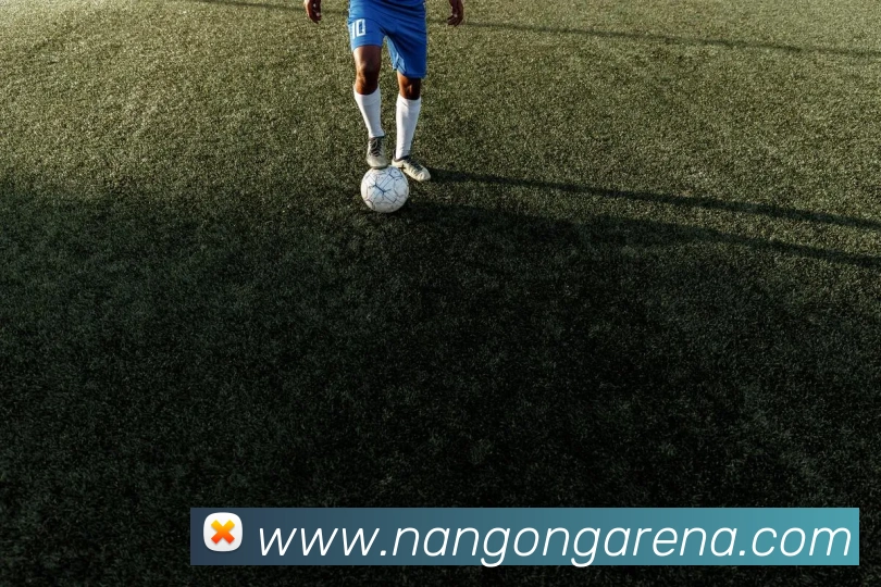 南宫28平台生态图